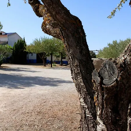 El Palomar Casa rural *